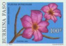 Adenium obesum