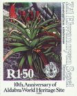 Lomatophyllum aldabrense