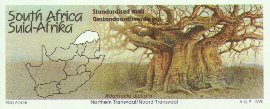 Baobab