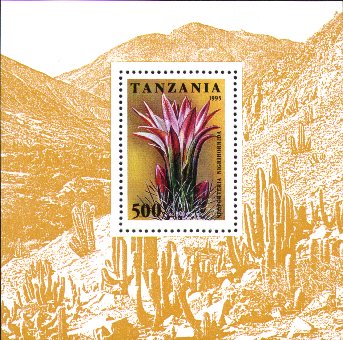 Neoporteria nigrihorrida