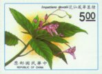 Impatiens devolii?