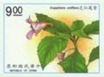 Impatiens uniflora?