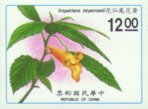 Impatiens tayemonii?