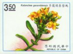 Kalanchoe garambiensis