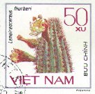 Lemaireocereus thurberi