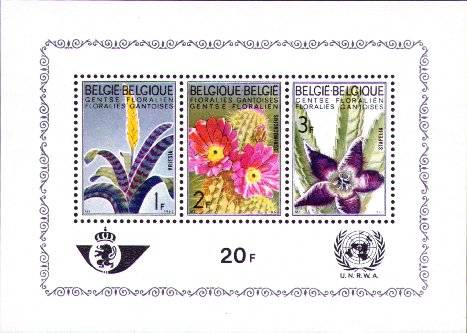 Vriesea splendens, Echinocereus fendleri, Stapelia hirsuta