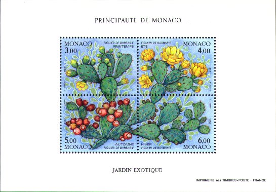 Opuntia ficus-indica