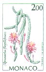 Aporocactus flagelliformis
