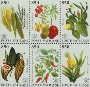 Opuntia sp.
