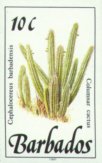 Cephalocereus barbadensis
