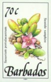 Sesuvium portulacastrum
