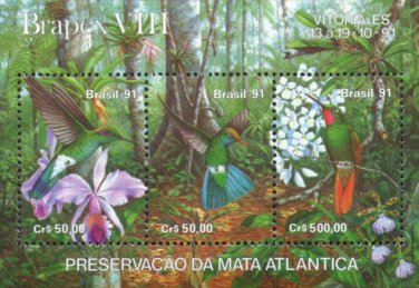 Bromelien und Tillandsien