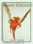 Nidularium rubens